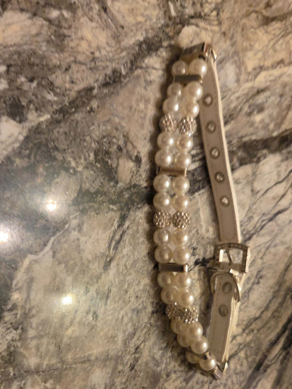 Fancy Small Dog Collar